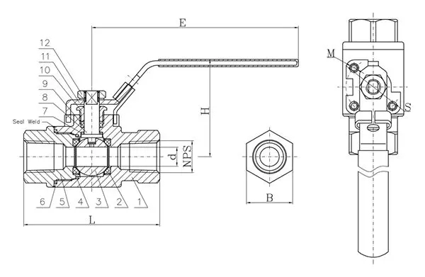 NACE MR0175 Ball Valve, ASTM A351 CF8M, 1 IN, 3000 PSI, NPT