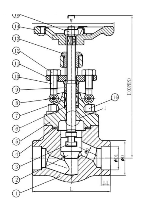 Forged ASTM A105N Globe Valve, API 602, 3/4 IN, CL800, SW Ends