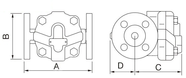 GGG40 Ball Float Steam Trap, EN 26704, DN25, PN16, RF End
