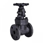 Air Drain Valve, API 602, ASTM A105N, 1 IN, CL150, RF * FNPT Ends