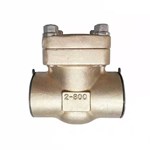Aluminum Bronze Check Valve, API 602, C95800, 2 Inch, CL800