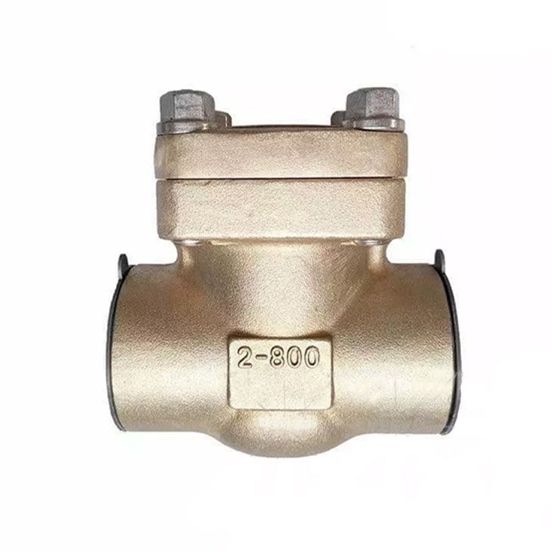 Aluminum Bronze Check Valve, API 602, C95800, 2 Inch, CL800
