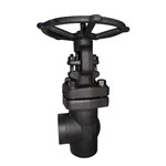 Angle Globe Valve, API 602, ASTM A105N, 1 Inch, 800 LB, SW
