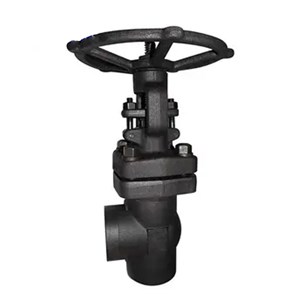 Angle Globe Valve, API 602, ASTM A105N, 1 Inch, 800 LB, SW