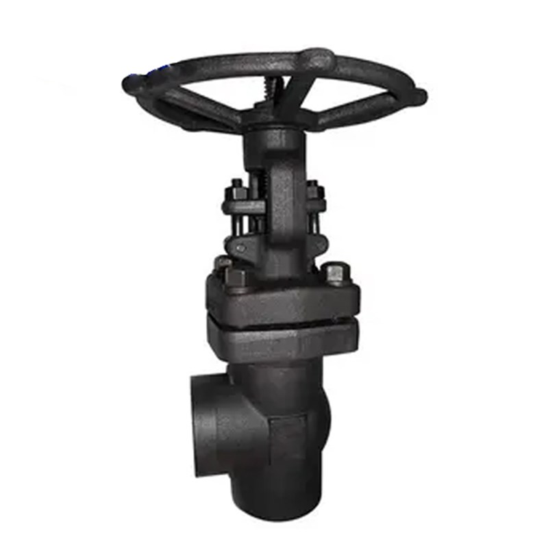 Angle Globe Valve, API 602, ASTM A105N, 1 Inch, 800 LB, SW