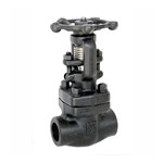 API 602 Gate Valve, ASTM A105N, 3/4 IN, CL800, Welded Bonnet