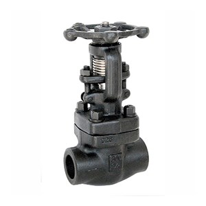 API 602 Gate Valve, ASTM A105N, 3/4 IN, CL800, Welded Bonnet