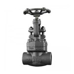 API 602 Globe Valve, ASTM A105N, 1 Inch, CL800, BB, FNPT