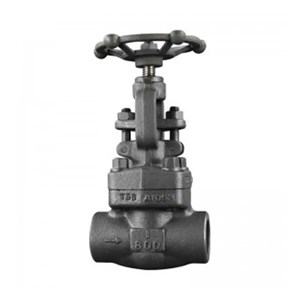 API 602 Globe Valve, ASTM A105N, 1 Inch, CL800, BB, FNPT