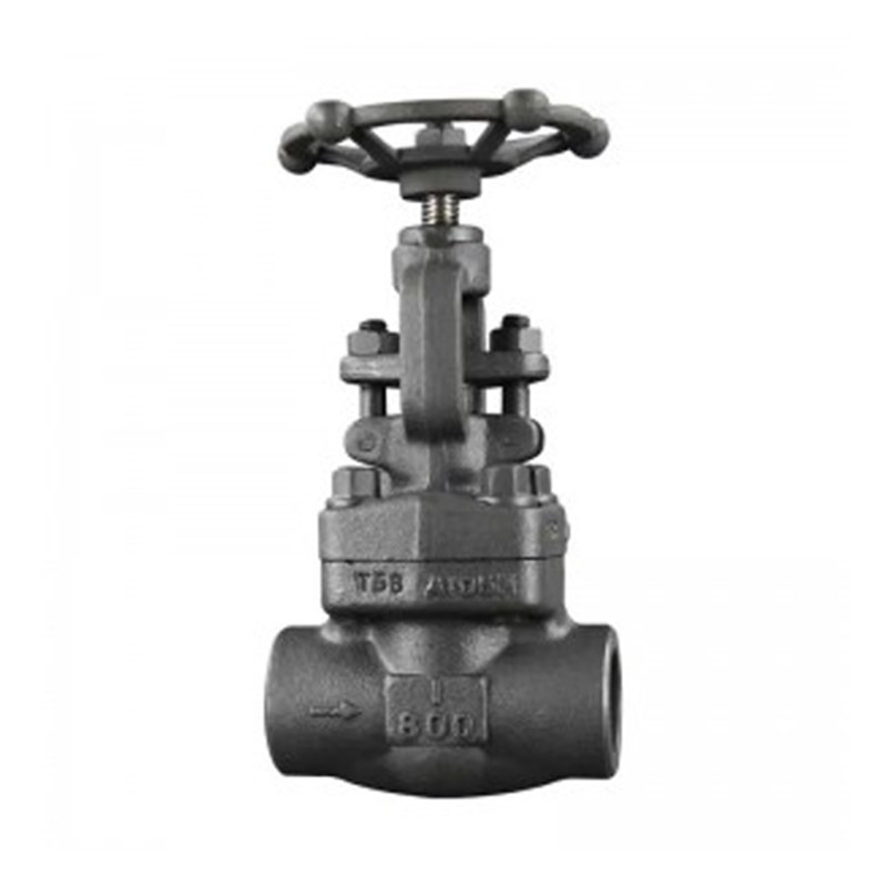 API 602 Globe Valve, ASTM A105N, 1 Inch, CL800, BB, FNPT