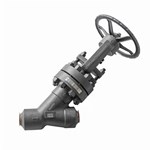 API 602 Y-type Globe Valve, ASTM A105N, DN50, PN400, BW Ends