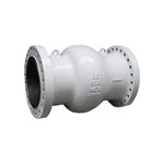 ASME B16.34 Axial Check Valve, ASTM A216 WCB, 20 IN, 600 LB