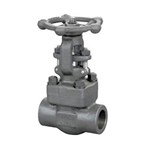 ASME B16.34 Gate Valve, API 602, A105N, 2 Inch, 1500 LB, SW