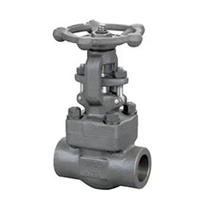 ASME B16.34 Gate Valve, API 602, A105N, 2 Inch, 1500 LB, SW