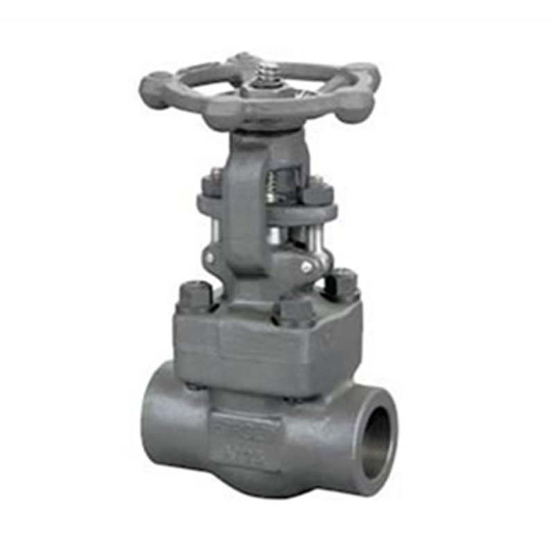 ASME B16.34 Gate Valve, API 602, A105N, 2 Inch, 1500 LB, SW