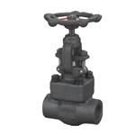 ASTM A105 Globe Valve, API 602, 1 IN, 800 LB, BB, OS&Y, FNPT