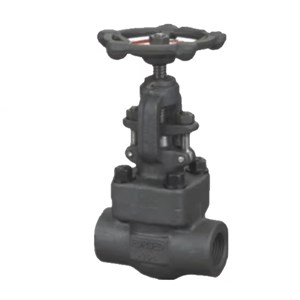 ASTM A105 Globe Valve, API 602, 1 IN, 800 LB, BB, OS&Y, FNPT