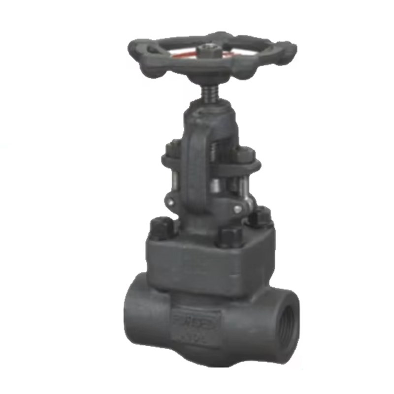 ASTM A105 Globe Valve, API 602, 1 IN, 800 LB, BB, OS&Y, FNPT