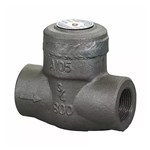 ASTM A105 Piston Check Valve, API 602, 3/4 Inch, CL800, FNPT