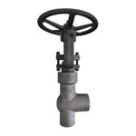ASTM A105N Angle Globe Valves, API 602, 2 IN, CL2500, PSB