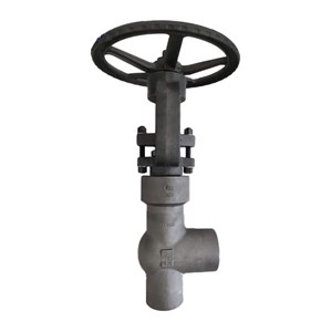 ASTM A105N Angle Globe Valves, API 602, 2 IN, CL2500, PSB