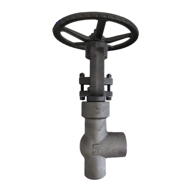 ASTM A105N Angle Globe Valves, API 602, 2 IN, CL2500, PSB