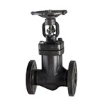 ASTM A105N Bellows Sealed Globe Valve, DIN 3356, 2 IN, CL300