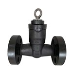 ASTM A105N Check Valve, API 602, 1 Inch, CL1500 LB, RTJ, PSB