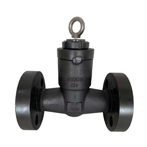 ASTM A105N Check Valve, API 602, 1 Inch, CL1500 LB, RTJ, PSB