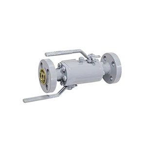 ASTM A105N DBB Ball Valves, EEMUA 182, 1/2 IN, 900 LB, RTJ