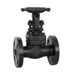 ASTM A105N Gate Valve, API 602, 1 Inch, CL300 LB, BB, RF
