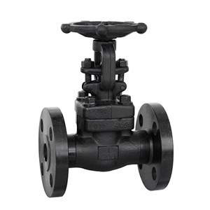 ASTM A105N Gate Valve, API 602, 1 Inch, CL300 LB, BB, RF