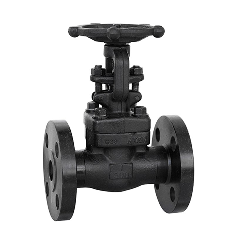 ASTM A105N Gate Valve, API 602, 1 Inch, CL300 LB, BB, RF
