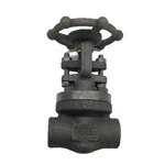 ASTM A105N Gate Valve, ASME B16.34, API 602, 3/4 IN, 800 LB