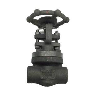 ASTM A105N Gate Valve, ASME B16.34, API 602, 3/4 IN, 800 LB