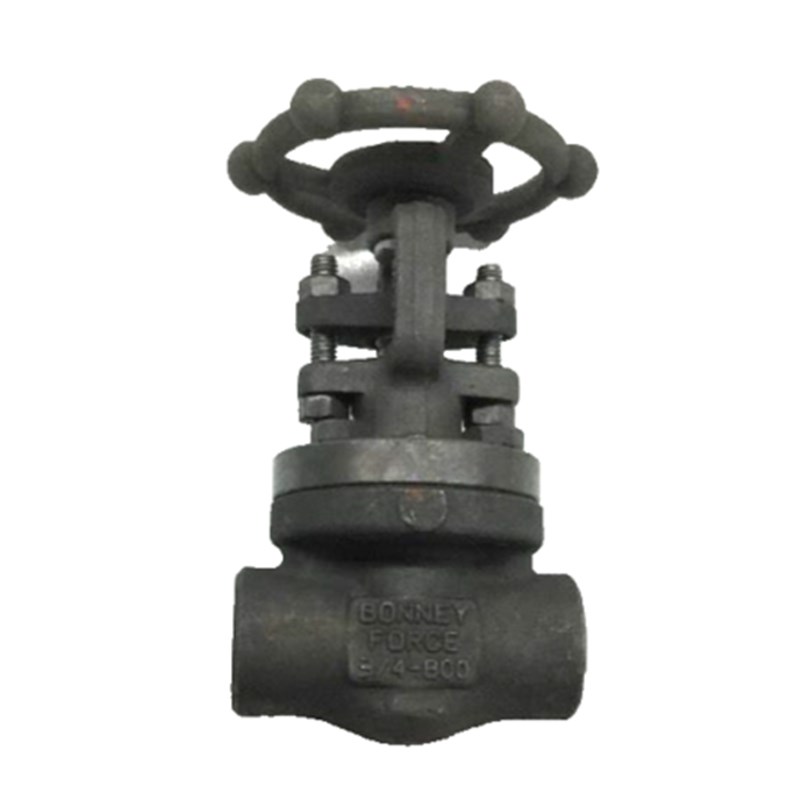 ASTM A105N Gate Valve, ASME B16.34, API 602, 3/4 IN, 800 LB