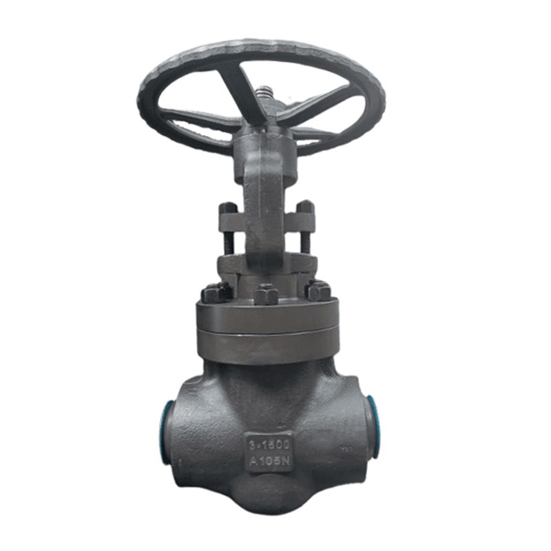 ASTM A105N Globe Valve, API 602, DN50, PN320, 3 Inch, CL1600, BW End