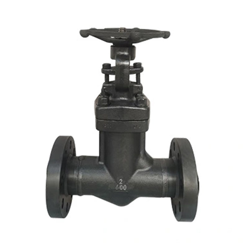 ASTM A105N Globe Valves, API 602, 2 IN, 600 LB, Bellows Seal