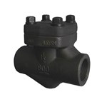 ASTM A105N Lift Check Valves, API 602, 1-1/2 IN, 300 LB, BB, BW