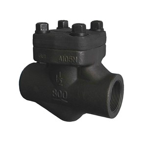 ASTM A105N Lift Check Valves, API 602, 1-1/2 IN, 300 LB, BB, BW