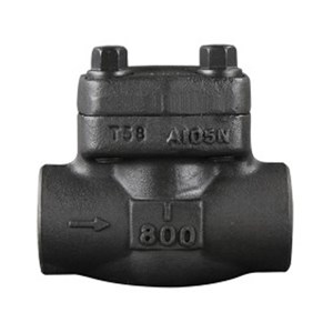 ASTM A105N Piston Check Valve, API 602, 1 IN, 800 LB, SW