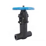 ASTM A105N PSB Gate Valve, API 602, 1 IN, CL2500, Socket Weld