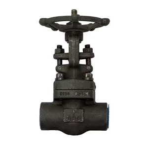 ASTM A182 F11 Gate Valve, API 602, 1 Inch, CL800, SW, BB
