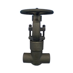 ASTM A182 F22 Gate Valve, API 602, 2 Inch, 1500 LB, PSB, SW
