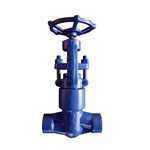 ASTM A182 F22 Globe Valve, API 602, 1/2-3/8 Inch, 2500 LB, BW, PSB