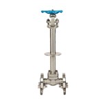 ASTM A182 F304L Gate Valve, API 602, 1 IN, 600 LB, Cryogenic