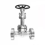 ASTM A182 F316 Cryogenic Gate Valve, API 602, 1 Inch, CL2500