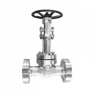 ASTM A182 F316 Cryogenic Gate Valve, API 602, 1 Inch, CL2500