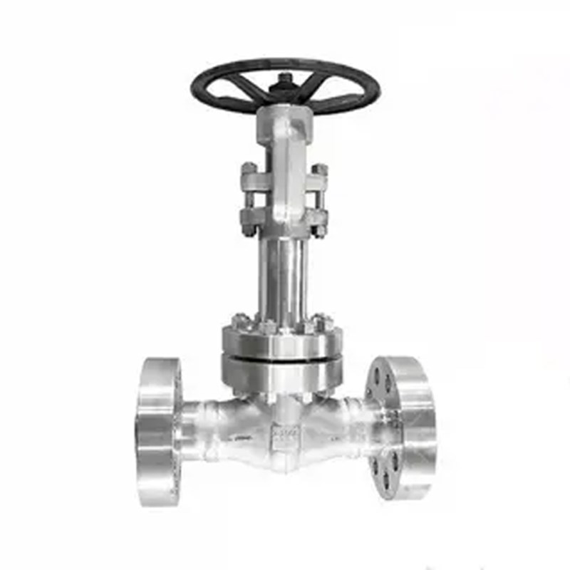ASTM A182 F316 Cryogenic Gate Valve, API 602, 1 Inch, CL2500
