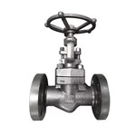 ASTM A182 F316 Globe Valve, API 602, DN50, PN160, RF